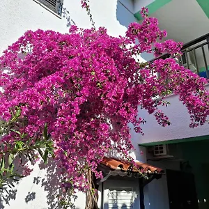 Tassos 2 Aparthotel